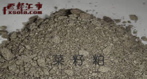 ���Ɍ���