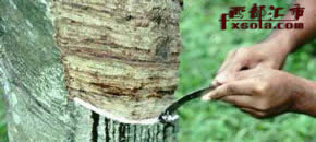 ���z��؛�Ĳɸ�