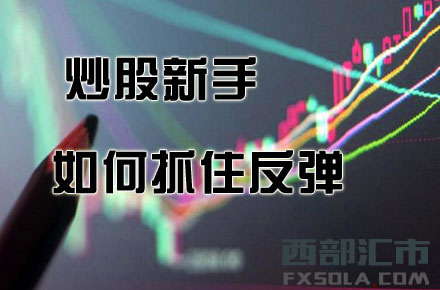 ����������β��eʧ���Cץס���з���