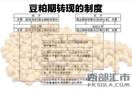 �������D(zhu��n)�F(xi��n)�ƶ�