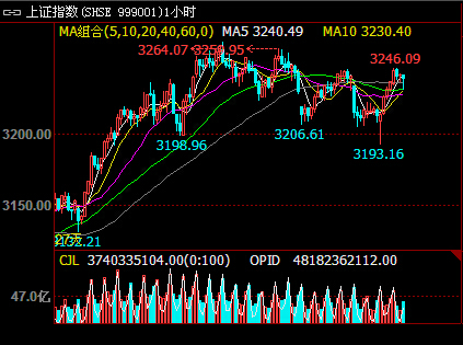 A����ţ���