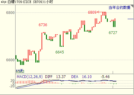 ������؛