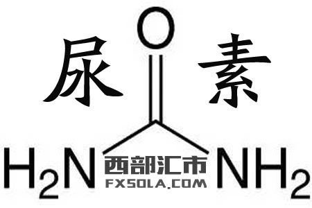 ��؛��Ʒ�N���ػ��W(xu��)��ʽ