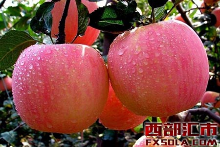 �O����؛���׵���ʽ��·��