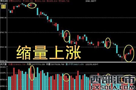 �s���ϝq����Ʊ�s���ϝq��ζ��ʲô