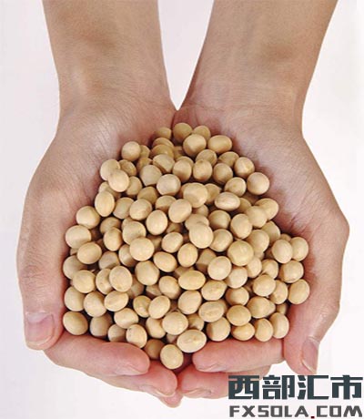 ��һ��؛�Ͷ�����؛�ą^(q��)�e��ʲô